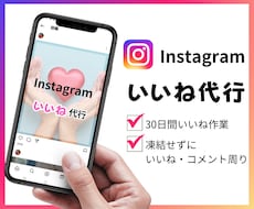 Instagramいいね運用代行を1か月いたします ターゲットを絞って手作業にて毎日いいねを行います