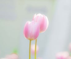 なんでもお話しお聞きします イメージ1
