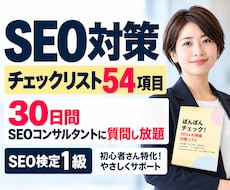 自分でできる！SEO対策チェックリストを提供します 購入後30日、SEOコンサルに質問し放題！サイト改善の第一歩