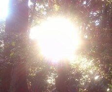 天照大神さまの光で照らして本来の良い状態に戻します 行き詰りを感じている方、今よりもっとよくなりたい方へ