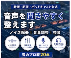 YouTubeの音声ノイズを除去します イメージ1