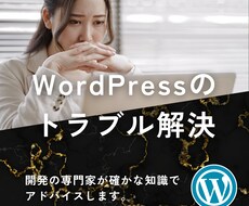 WordPressのトラブルについて回答します イメージ1