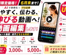 ビジネス・ショート動画を高品質編集します イメージ1