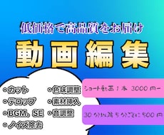 SNS全般✨動画制作お手伝いいたします イメージ1