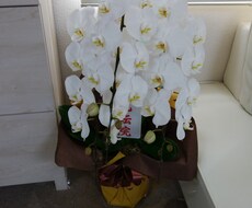 妊娠中から育児・授乳相談までご相談受けます イメージ1