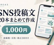 SNS投稿文20本をまとめて作成します イメージ1