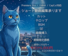 ショート動画編集承ります イメージ1