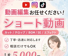 丸投げ | SNSショート動画を編集します TikTok,Instagram,YouTubeなど各SNS