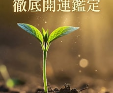 五界命術で2026年徹底開運鑑定します 生まれもったエネルギーと今年の流れを融合し、道筋を具体的に