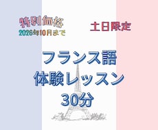 フランス語30分の体験レッスン！文法か会話選べます 仏検1級•C1のお母ちゃん先生とオーダーメイドレッスン準備