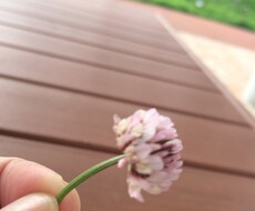 あなたの悩みを聞かせて下さい。 イメージ1