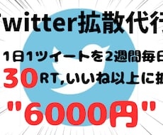 Twitterで2週間毎日30RTに拡散します ツイートを2週間毎日30RT,30いいねに拡散します