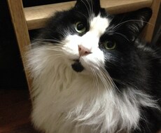 些細なことでも何でもお話聞きます イメージ1
