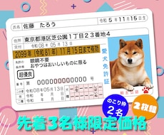 本物そっくり！ペットのオリジナル免許証を作ります 嬉しい2枚セット！丈夫なプラスチック製オリジナルペット免許証