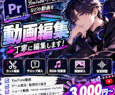 動画を12月３１日まで限定低価格で丁寧に編集します イメージ1