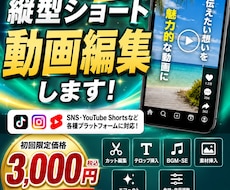初回限定！タテ型ショート動画編集します イメージ1
