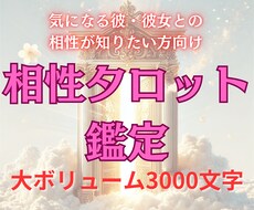 すぐに知りたい！瞬時に相性を徹底分析します 手軽に分かるワンコイン鑑定！スピーディーに占います