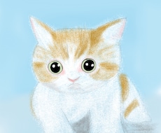 お写真からやさしいペットイラストを描きます 大切なペットをやさしい雰囲気で描きます