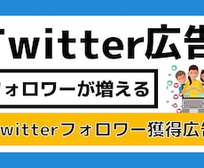 Twitter（X）のフォロワー増やします イメージ1