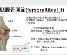 膝関節についての資料を提供します イメージ1