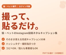 猫ペットのインスタ投稿ネタ集30をお渡しします イメージ1