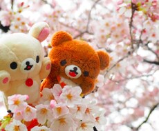 1日、彼女(仮)になります イメージ1