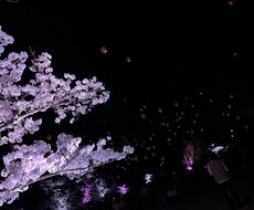 1分でも、5分でも構いません。心に癒しを届けます イメージ1