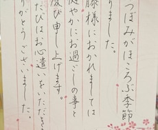 お名前やご住所などの大切な文字を添削します 本気で美文字を目指すあなたへオススメです　ビデオチャットでも