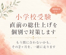 小学校受験 直前2ヶ月の総仕上げを個別で対策します イメージ1