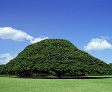 学校や人間関係で窮屈、周りとの隔たりを案じているあなたに変化するノウハウを教えます！ イメージ1