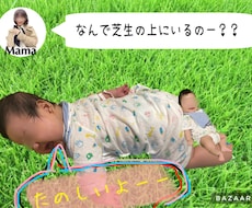 画像の編集、加工を行います イメージ1