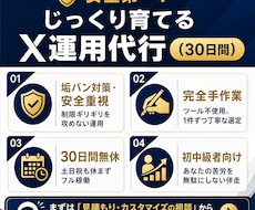 30日無休 完全目視手作業でX運用代行します イメージ1