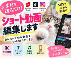 ショート動画を見やすく編集します イメージ1