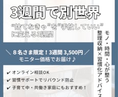 毎日相談OK！整理収納3週間サポートします イメージ1