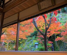 名古屋市近郊の風景写真を撮影します イメージ1