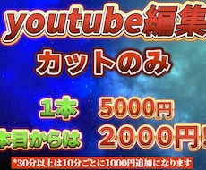 カット編集のみ格安対応します カット編集のみ格安で対応します！