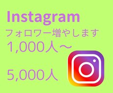 インスタグラムのフォロワー１０００人以上増します イメージ1
