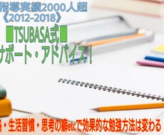 効率的な勉強の進め方のアドバイス・相談に乗ります 過去指導歴2000人の教育のプロが、勉強のサポートします！！