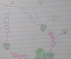 カラーセラピー　簡単！塗り絵で自分のことを知れます イメージ1