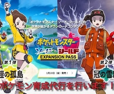 ポケットモンスターソード・シールドの育成代行します イメージ1
