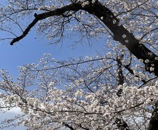 ワンコインで恋愛の悩み1つ答えます イメージ1