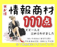 情報コンテンツ盛り沢山あります 使い方あなた次第！全て商材再販権利付き詰め合わせセット✨