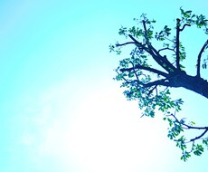 思考を変えて人生を輝かせます イメージ1