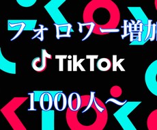 tiktokフォロワー増やします イメージ1