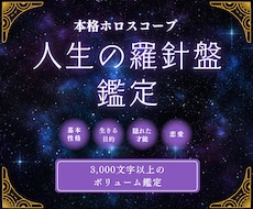 本格ホロスコープ★人生の羅針盤を作成します イメージ1