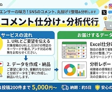 SNSのコメント欄を仕分け・分析代行します データ分析とコメントの仕分けでファンの本音を可視化します