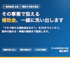 信金出身が審査目線で補助金を洗い出します 「うちで使える補助金あるの？」を一緒に整理します