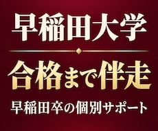 早稲田合格まで受験勉強に伴走します イメージ1