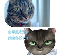 猫ちゃんの似顔絵を個性的に描きます イメージ1