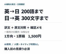 短い一般文を英訳・和訳して照合します イメージ1
